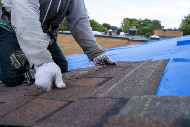 Best Roof Restoration Services  in Comstock Park, MI