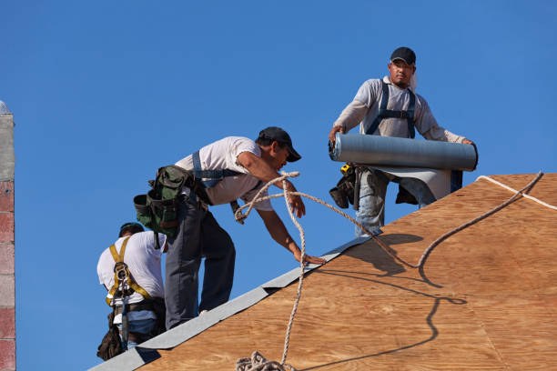 Best Metal Roofing Contractor  in Comstock Park, MI
