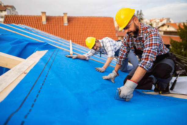 Best Flat Roof Repair Services  in Comstock Park, MI