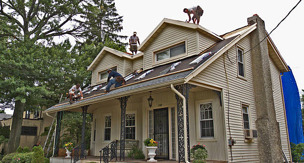 Best Roof Repair Services  in Comstock Park, MI