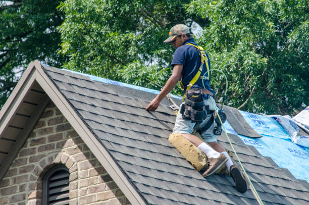Best Roof Waterproofing Services  in Comstock Park, MI
